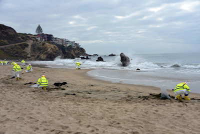 Orange County shoreline cleanup