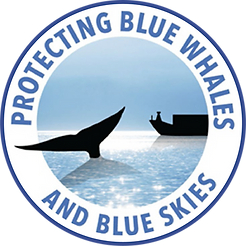 Shipping Companies Recognized for Reducing Vessel Speeds to Protect Whales