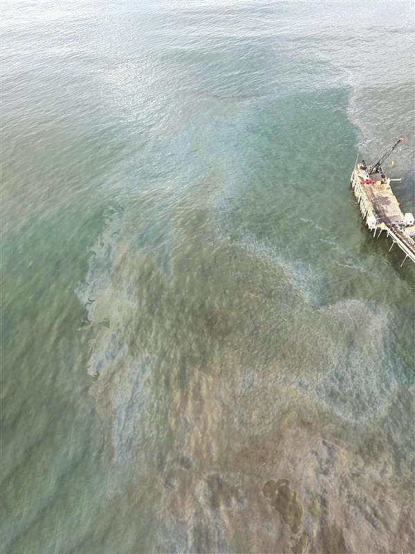 From the Editor: Oil Spill Aftermath